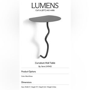 Ferm Living NIB Black Brass Curvature Wall Shelf